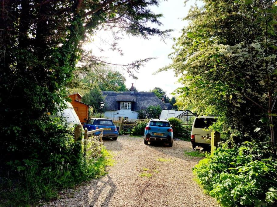 Piddle Puddle Cabin Dorchester Dış mekan fotoğraf
