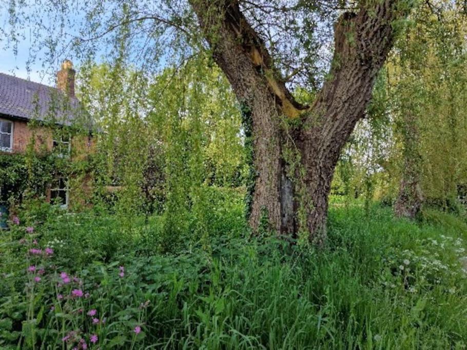 Piddle Puddle Cabin Dorchester Dış mekan fotoğraf